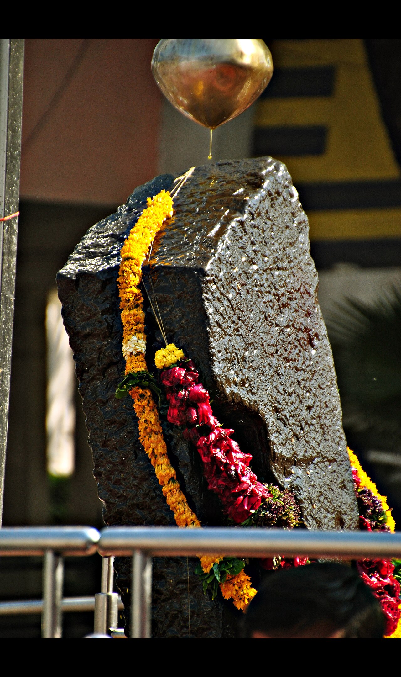 The garlanded swayambhu slab of Lord Shanidev glistening with sesame oil as a drop falls from the vessel suspended above