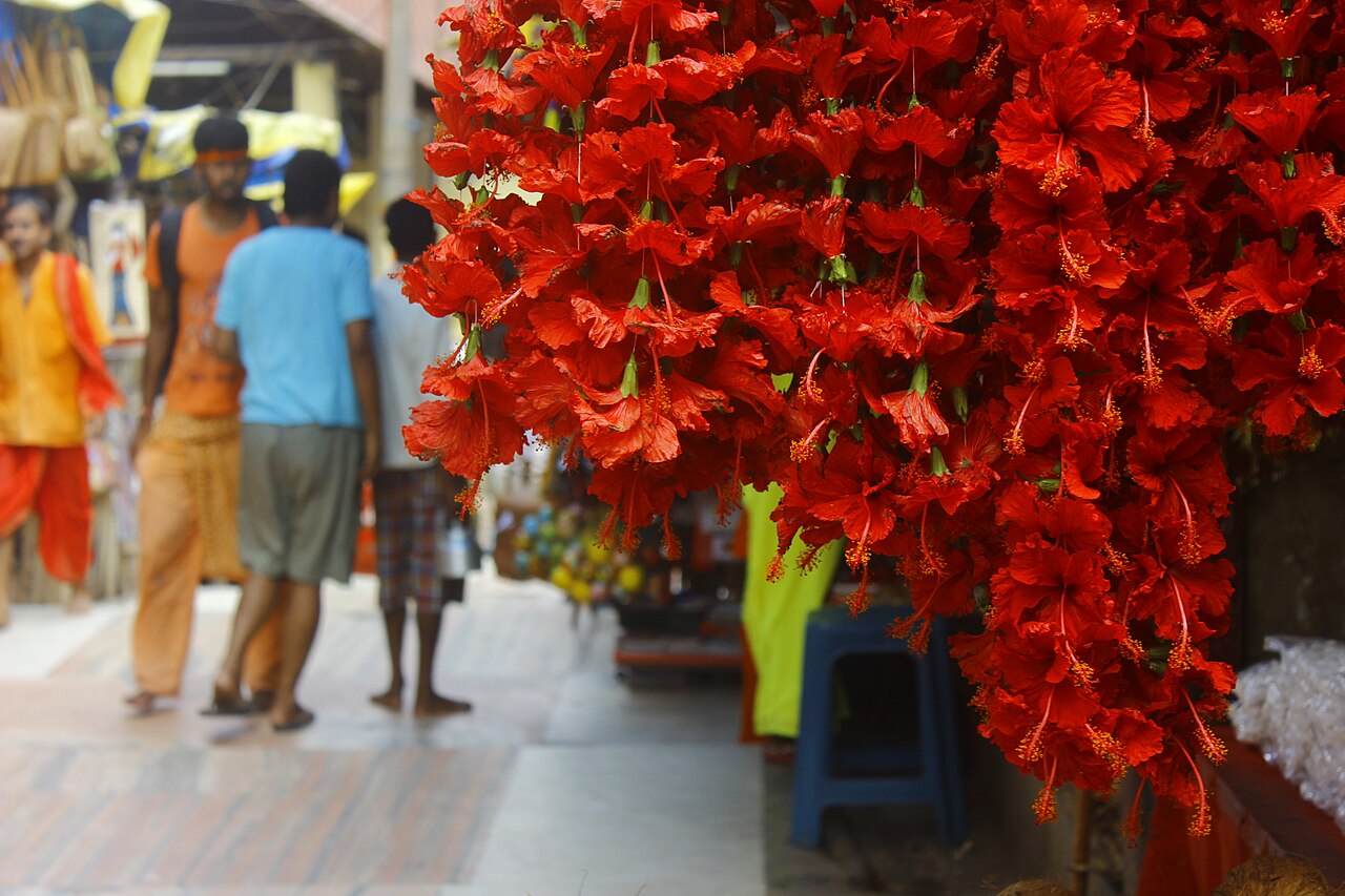 Maa Kamakhya Temple, photograph 1