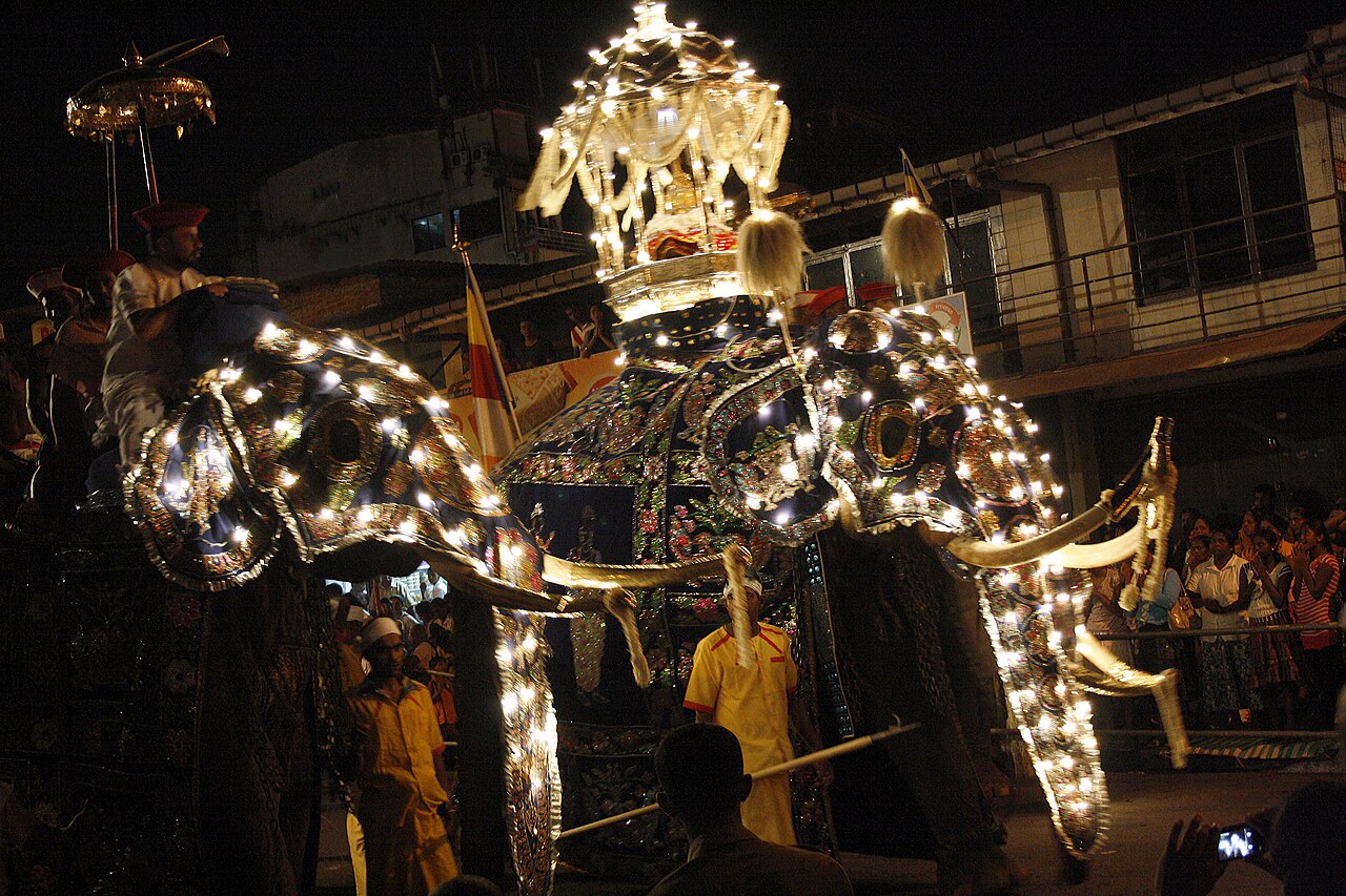 A tusker robed in lights bearing the illuminated casket at the Kandy Esala Perahera
