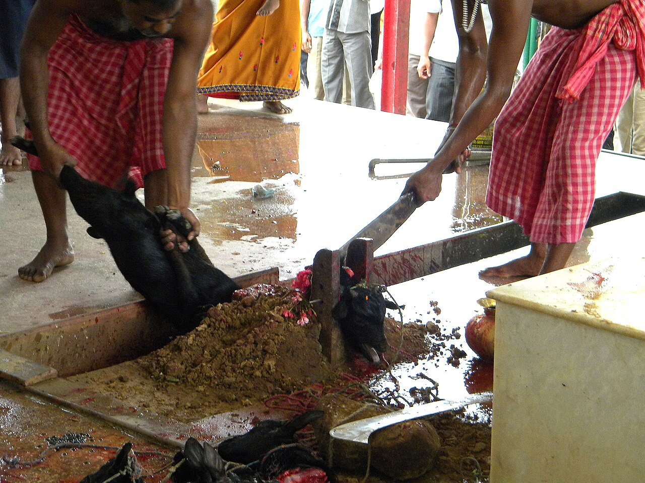 Maa Tripura Sundari Temple, photograph 2
