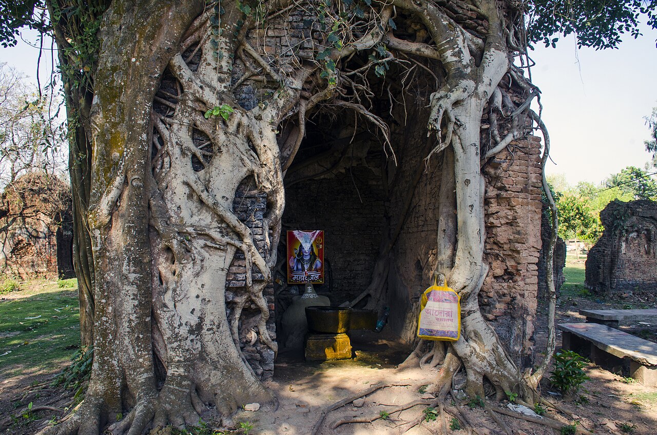 The Temple grounds where the Crown Of Maa Sati fell