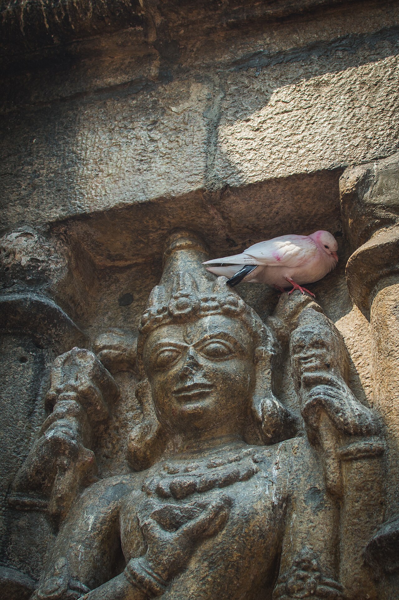 Maa Kamakhya Temple, photograph 4
