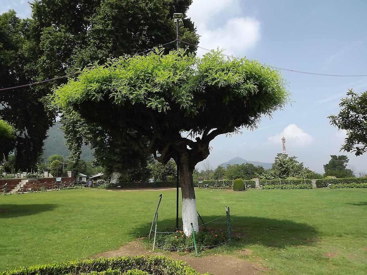Maa Mahamaya Amarnath Temple, photograph 3