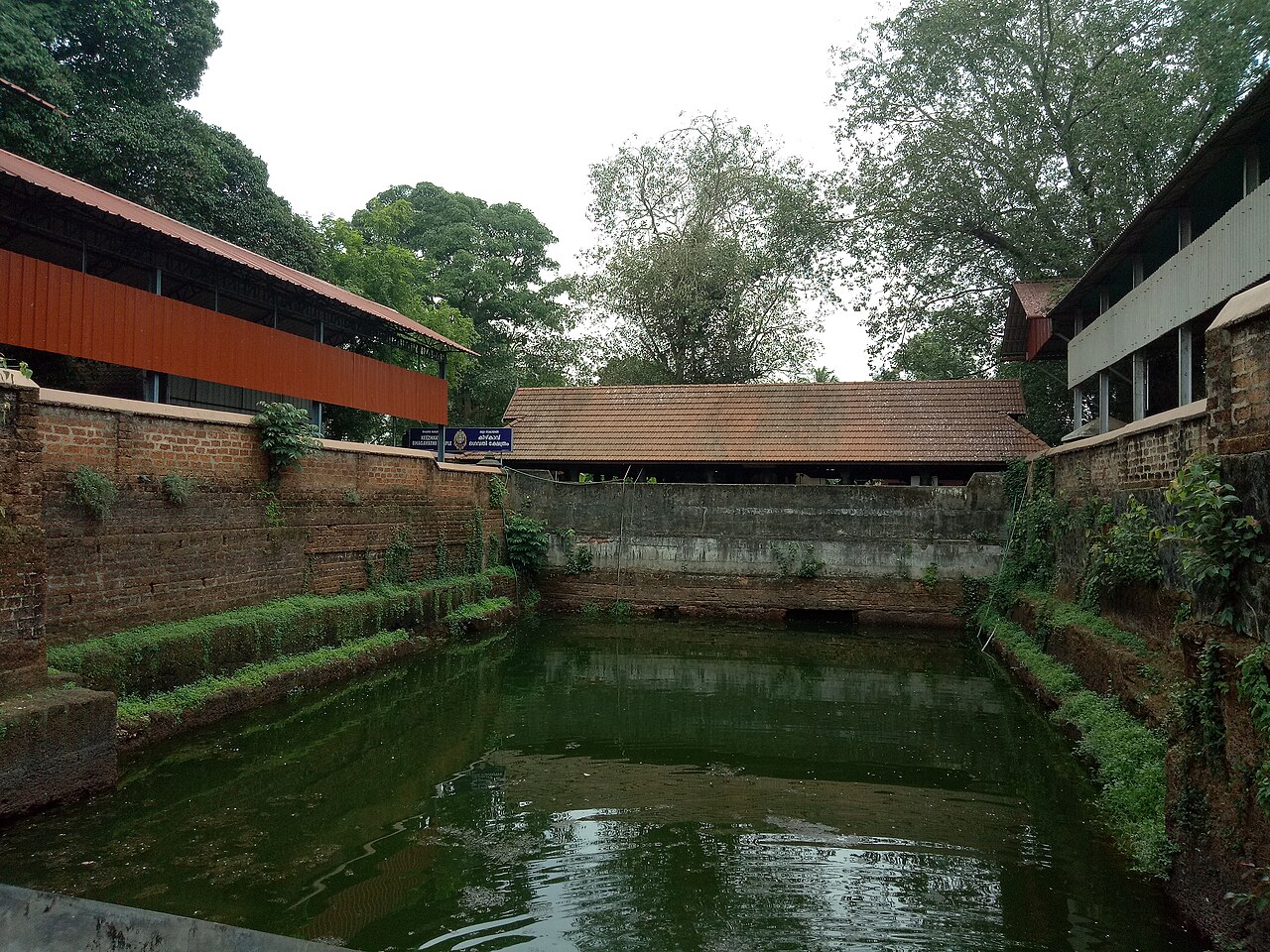The Temple pond at Maa Chottanikkara Bhagavathy Temple, with the Keezhkkavu shrine on its eastern side