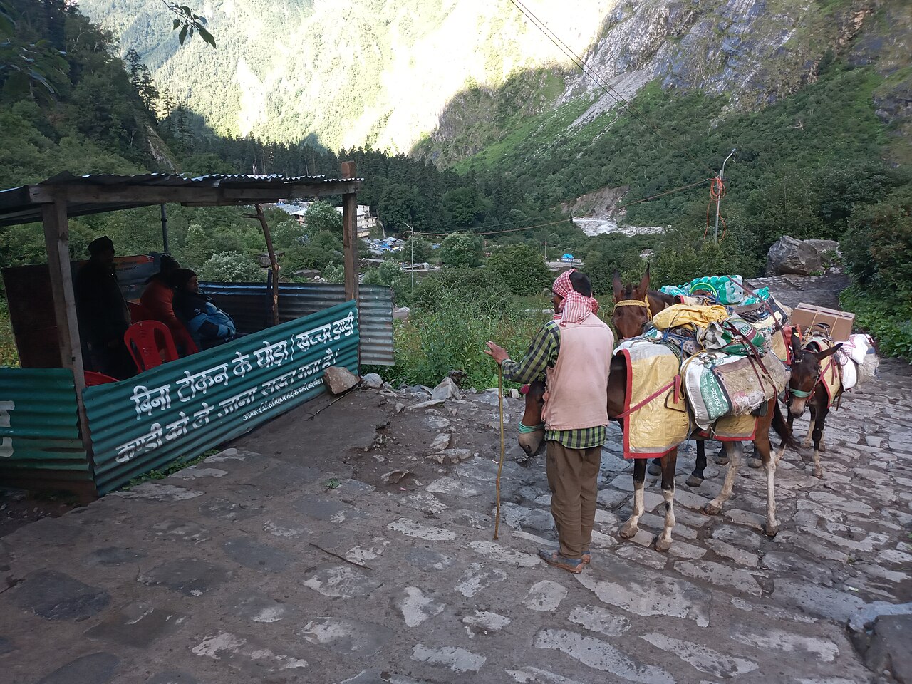Pilgrims and pack mules on the stone path from Ghangaria up to Hemkund Sahib