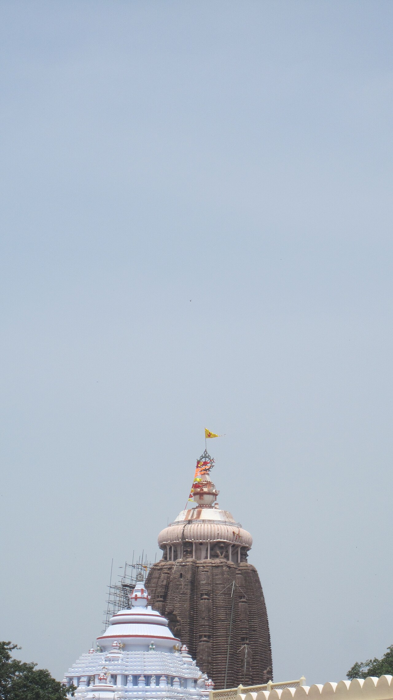 Shri Jagannath Temple, Puri, photograph 1