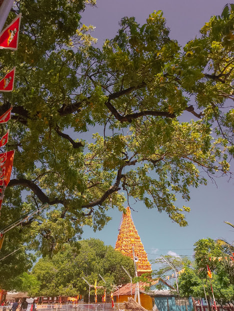 Maa Nagapooshani Amman Temple, photograph 2