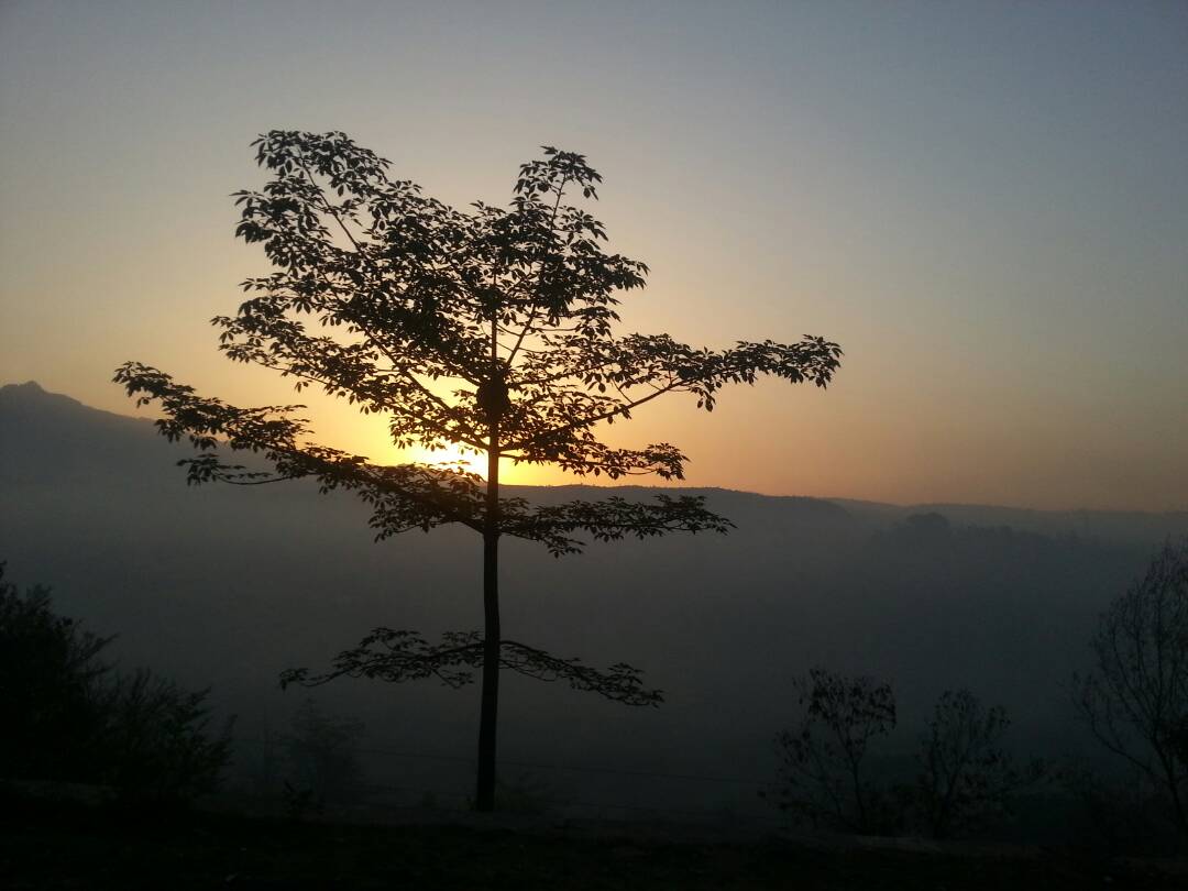 Maa Vaishno Devi Temple, photograph 2