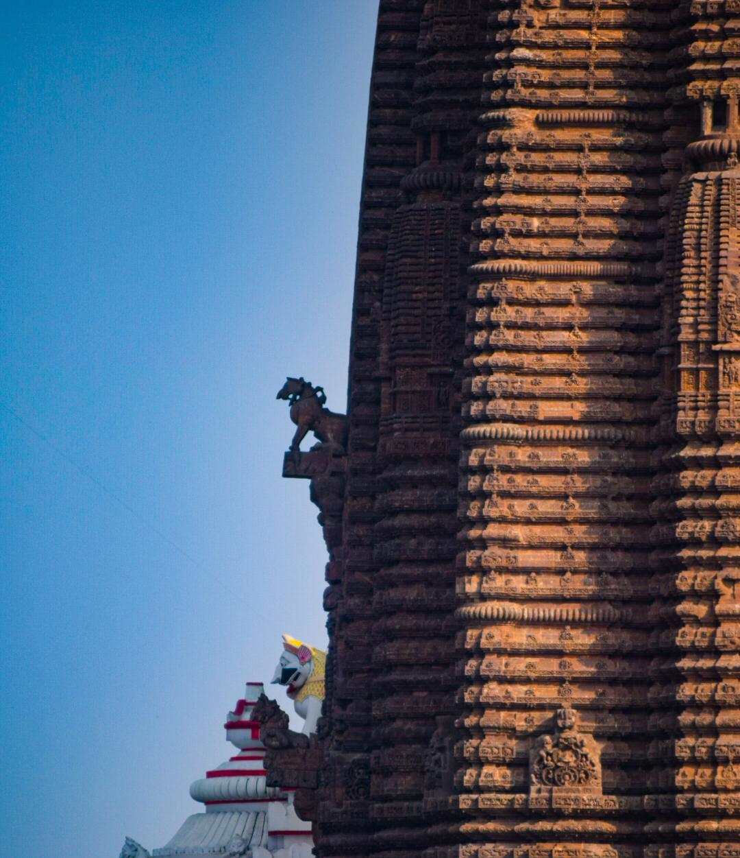 Shri Jagannath Temple, Puri, photograph 4