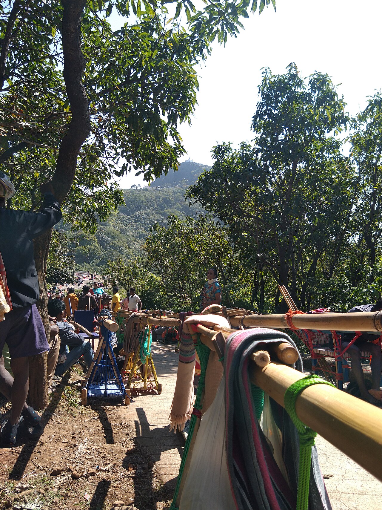 Doli bearers with their bamboo chairs on the forest path of Shikharji, the summit tonk visible above